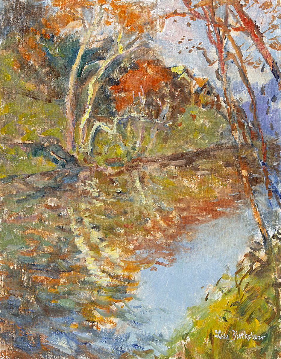 French Broad River Reflections