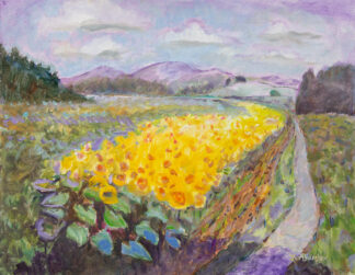 Mountain Sunflowers