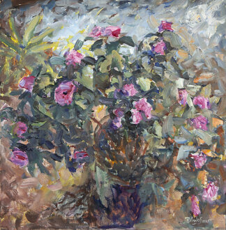 Quinacridone Begonia