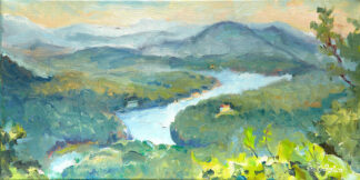 View of Lake Lure from Chimney Rock